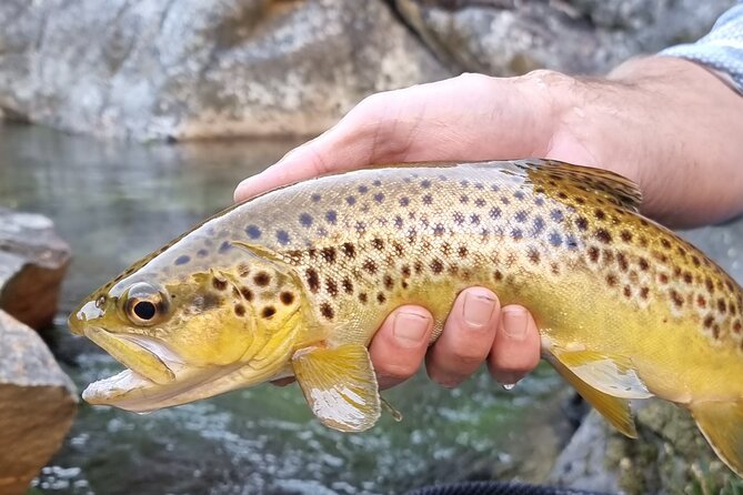 Fly Fishing in Cape Town for Five Hours - Getting There: The 8:00 AM Start From Du Kloof Lodge