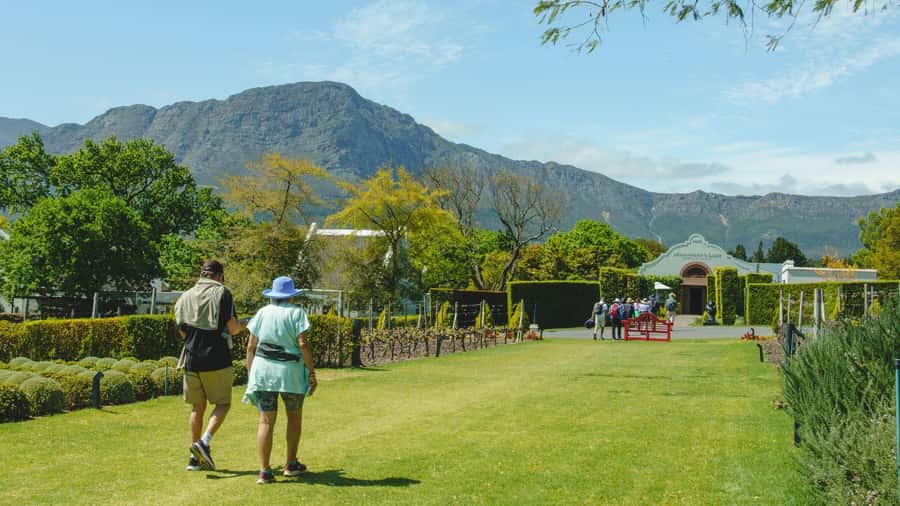 Franschhoek: An enchanting storytelling walk to 3 wine farms - The first vineyard section: 1.5 hours of views and pacing