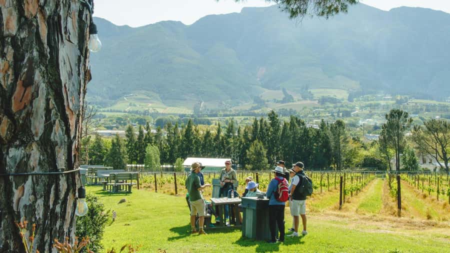Franschhoek: An enchanting storytelling walk to 3 wine farms - Starting at Nederduitse Gereformeerde Kerk and finding the quiet fast