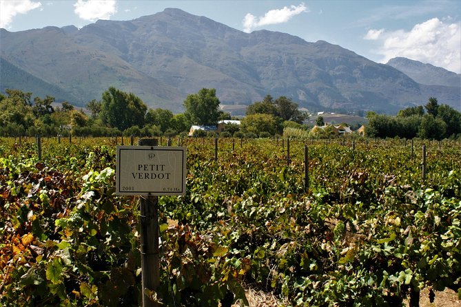 Franschhoek Cycle Experience Half Day - Private Tour - La Bri Estate: Wine Pairings with Chocolate or Biltong, and a Family-Friendly Touch