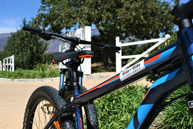 Franschhoek Cycle Experience Half Day - Private Tour - Guides, Pickup, and the Human Side of a Private Tour