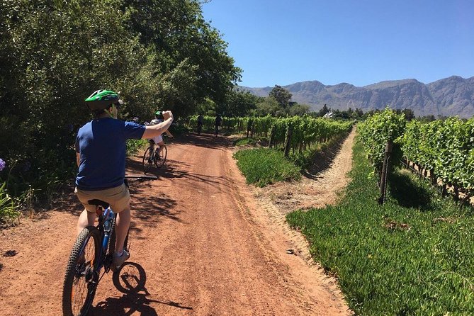 Franschhoek Cycle Experience Half Day - Private Tour - Grande Provence Estate: Bronze Sculptures, Gardens, and an Art Break