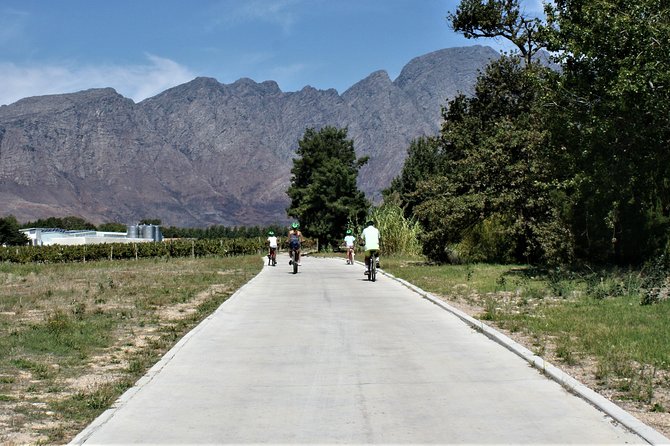 Franschhoek Cycle & Tasting Experience 4hr (Shared) - Value check: what you pay, what you get, and what to watch for