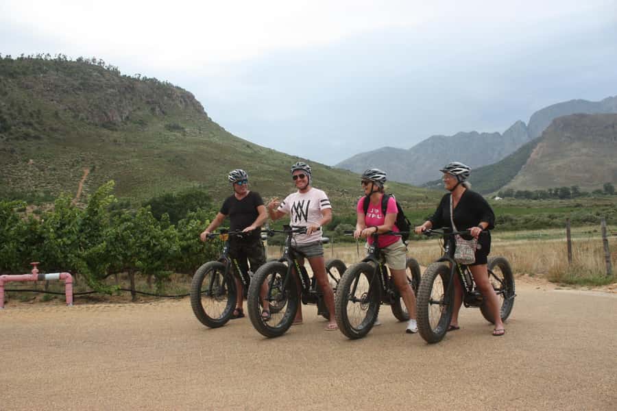 Franschhoek: E-Bike Guided Winery Tour - Two winery visits, chosen from the best-known estates