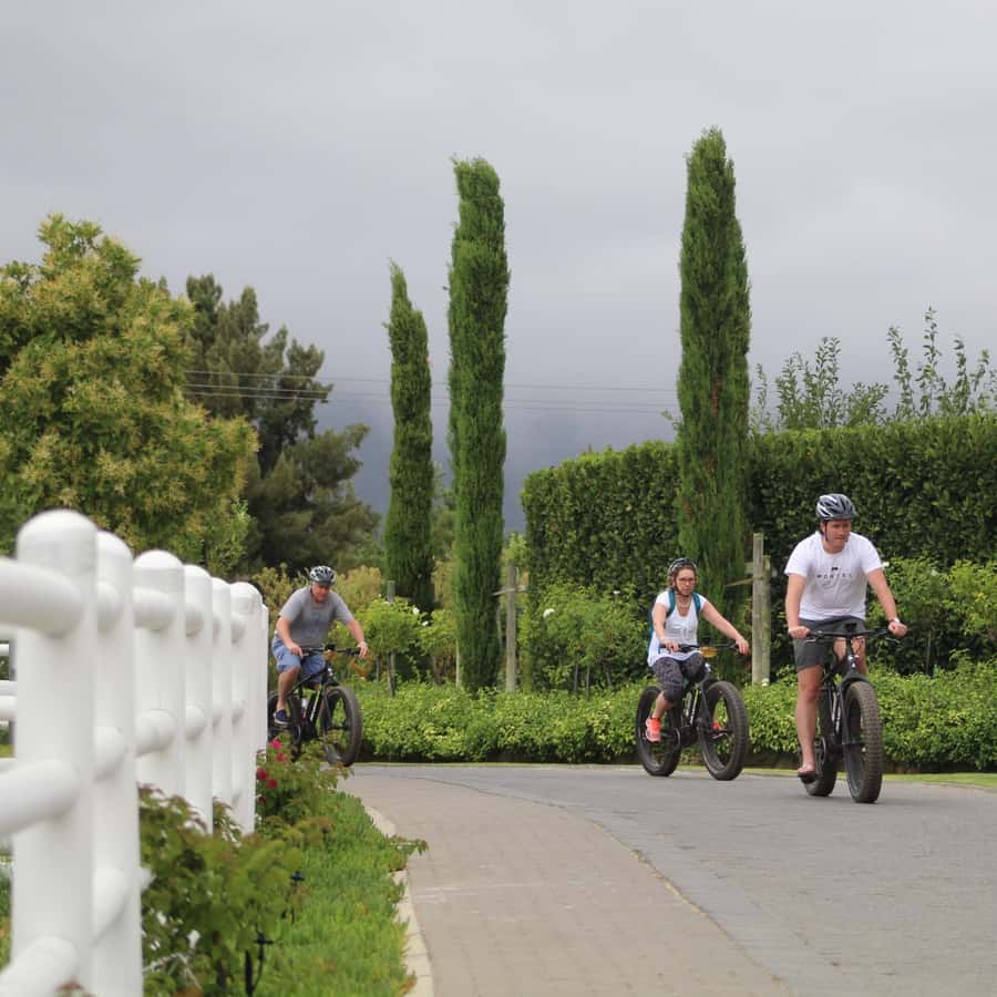 Franschhoek: E-Bike Guided Winery Tour - Meeting at Vinebikes Franschhoek, 9 Fabriek Street