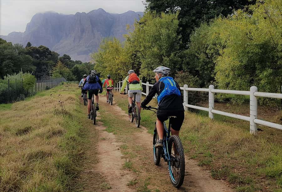 Franschhoek: E-bike Tour with Wine Tasting and Lunch - Key takeaways before you book