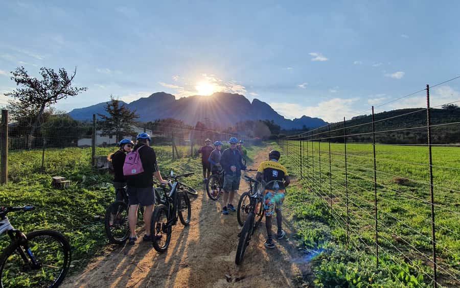 Franschhoek: E-bike Tour with Wine Tasting and Lunch - What the return by vehicle changes about the day