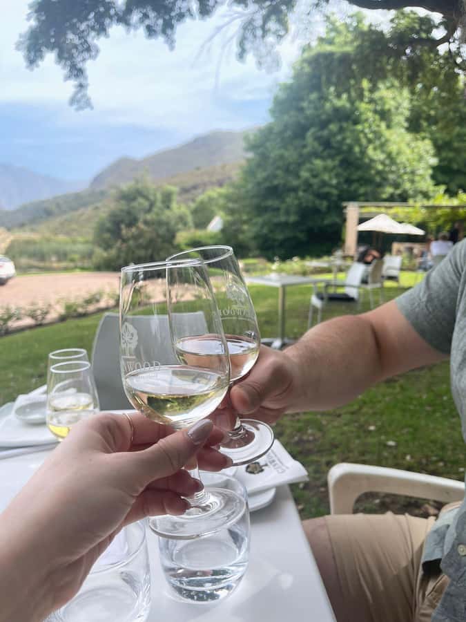 Franschhoek E-Bike & Wine Tour - Why Franschhoek is a great choice for an e-bike wine tour