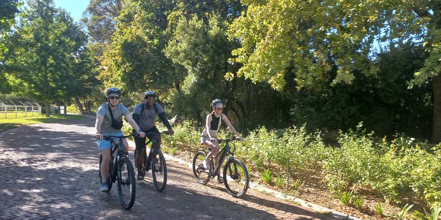 Franschhoek E-Bike & Wine Tour - Getting fitted and ready: the height rule and what to bring