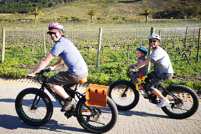 Franschhoek E-Bike Wine Tour (Half Day) - Key Points You Should Know Before You Go