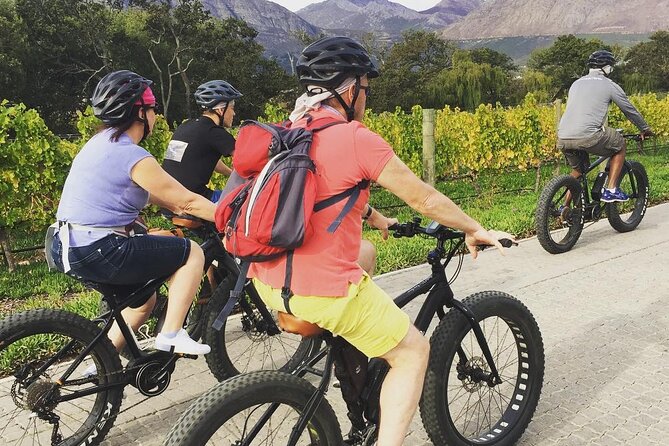 Franschhoek E-Bike Wine Tour (Half Day) - Your Guide Matters: Prince Sets the Tone
