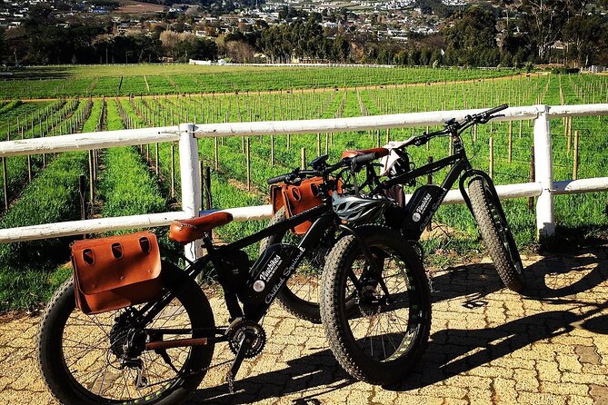 Franschhoek E-Bike Wine Tour (Half Day) - What’s Included, What’s Not, and How to Judge the Value