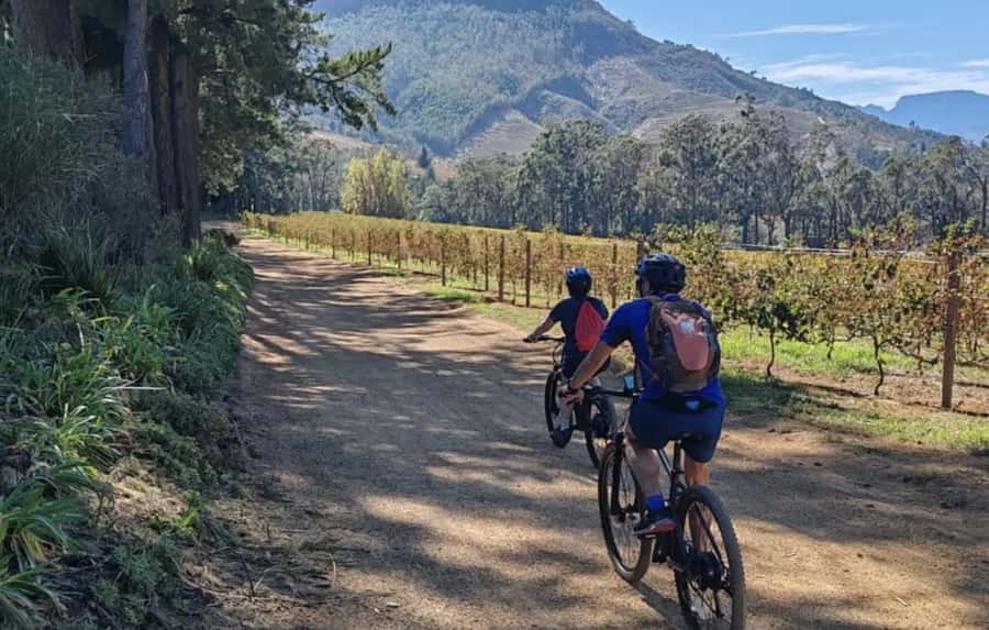Franschhoek: E-Bike & Wine Tour (Shared Tour) - Should you book the Franschhoek E-Bike & Wine Tour?