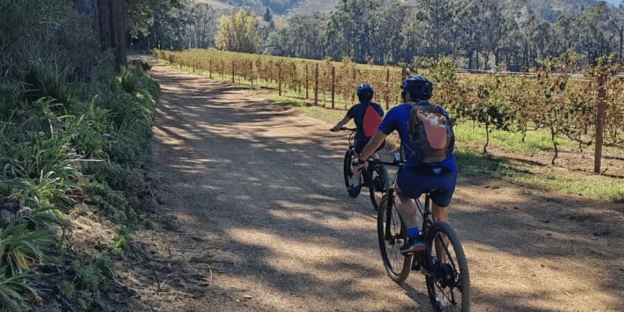 Franschhoek: E-Bike & Wine Tour (Shared Tour) - What’s included on the ride, and what you must plan for yourself