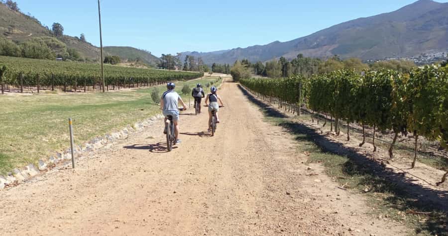 Franschhoek: E-Bike & Wine Tour (Shared Tour) - Who this tour suits best (and who should skip it)