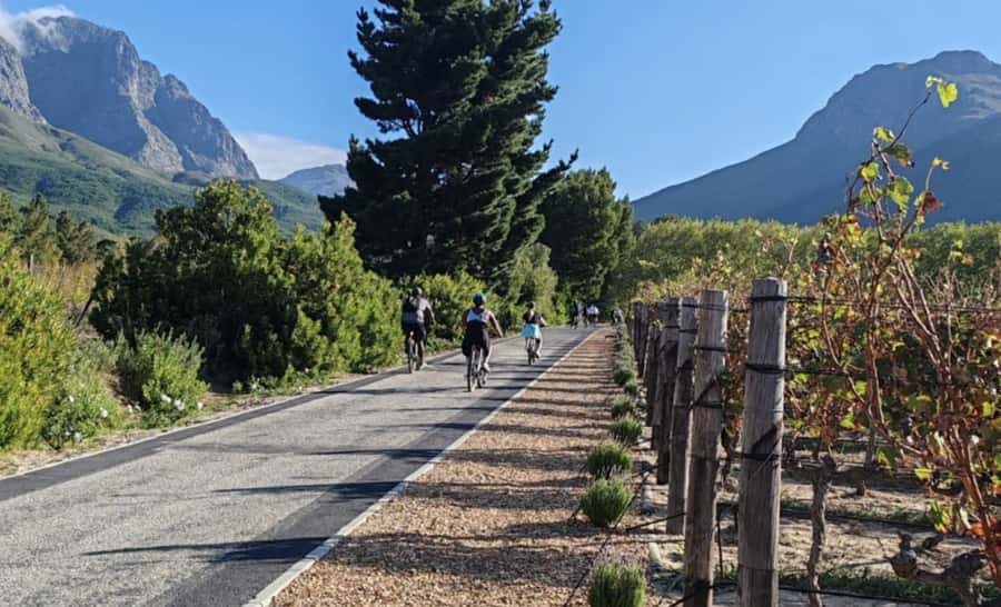 Franschhoek: E-Bike & Wine Tour (Shared Tour) - E-bike setup: sizing, helmet, and what to expect before you roll