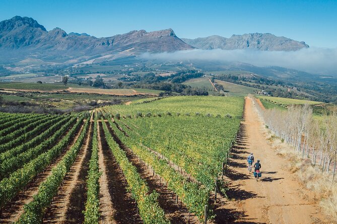 Franschhoek Sip & Cycle Experience Full Day - Private Tour - The role of the guides, why Skeezo and Melo show up in the good stories