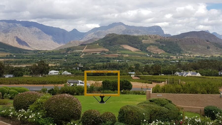 Franschhoek & Stellenbosch: Full-Day Wine Tour - How the tastings are taught: from learning to taste to ordering with confidence
