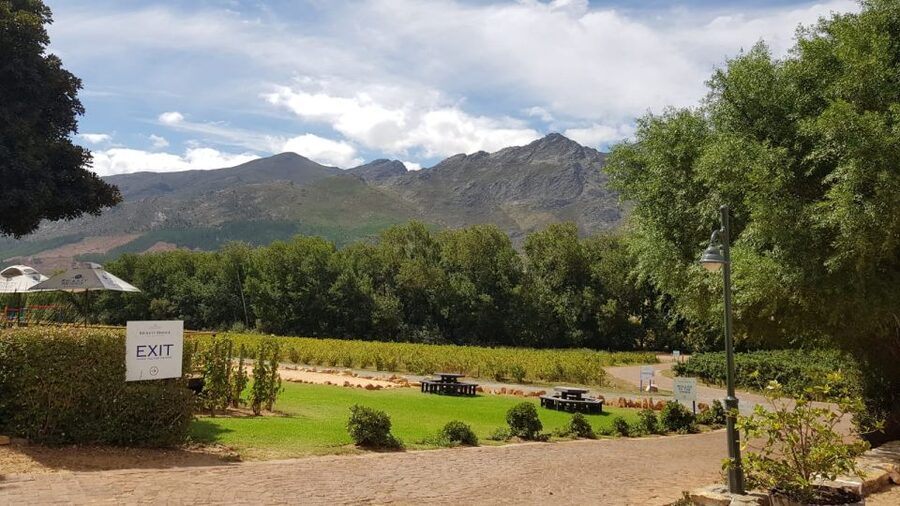 Franschhoek & Stellenbosch: Full-Day Wine Tour - Pickup, timing, and staying comfortable on a full tasting day