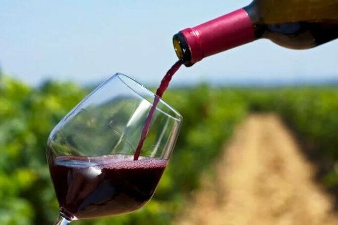 Franschhoek Wine Tram Hop On Hop Off Tour - What to Pack and How to Stay Comfortable Between Tastings