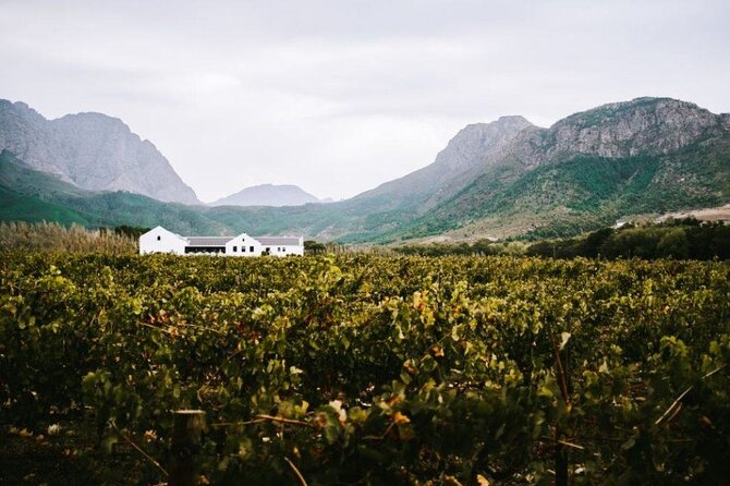 Franschhoek Wine Tram Hop-On Hop-Off Tour from Cape Town. - Cape Town pickup and drop-off, and why location matters