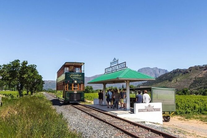 Franschhoek Wine Tram Hop-On Hop-Off Tour from Cape Town. - Your winery choices: tasting, tours, and how to pace a long wine day