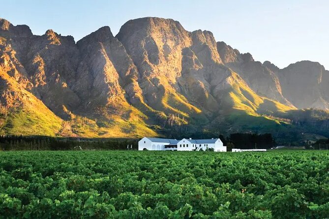 Franschhoek Wine Tram Hop-On Hop-Off Tour from Cape Town. - The Franschhoek Wine Tram terminal experience, circle stops and hopping strategy