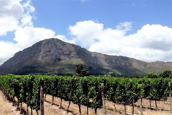Franschhoek Winelands Luxury EBike Tour - Key Highlights You Will Actually Feel