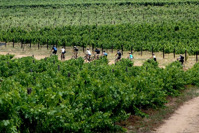 Franschhoek Winelands Luxury EBike Tour - Price and Value: What $152.67 Covers (and What It Does Not)
