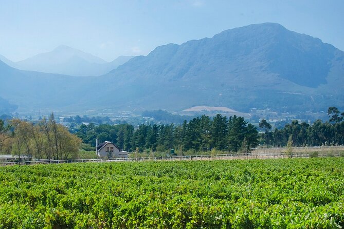 Franschhoek Winelands Luxury EBike Tour - Stop 1: Rickety Bridge Wine Estate, Where the Views Do Part of the Hosting