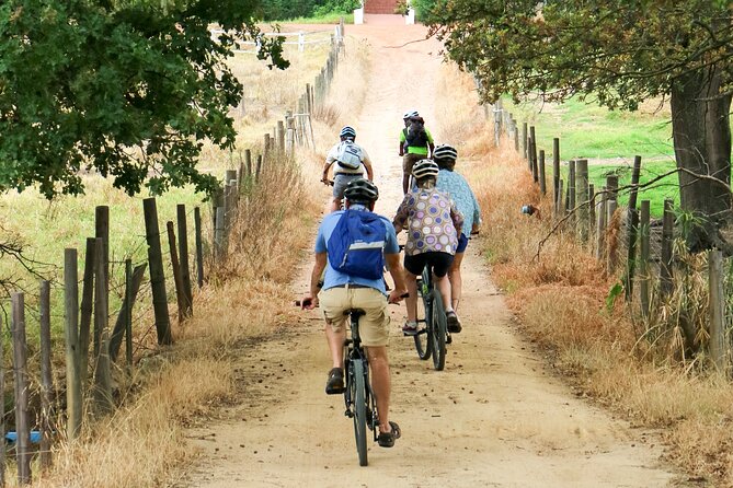 Franschhoek Winelands Luxury EBike Tour - Lunch, Snacks, and Pairings: How You Stay Comfortable Through Four Tastings