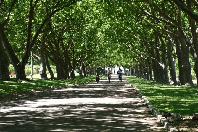 Franschhoek Winelands Luxury EBike Tour - The 10:00 AM Day Plan: How the Timing Works