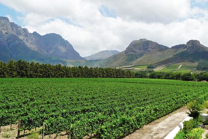 Franschhoek Winelands Meander © - Entering The Franschhoek Winelands Meander Mindset (It is a wine day on wheels)
