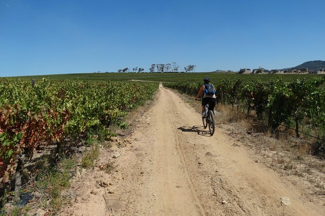 Franschhoek Winelands Meander © - Stop 2: La Bri Estate (Huguenot farm roots you can taste)
