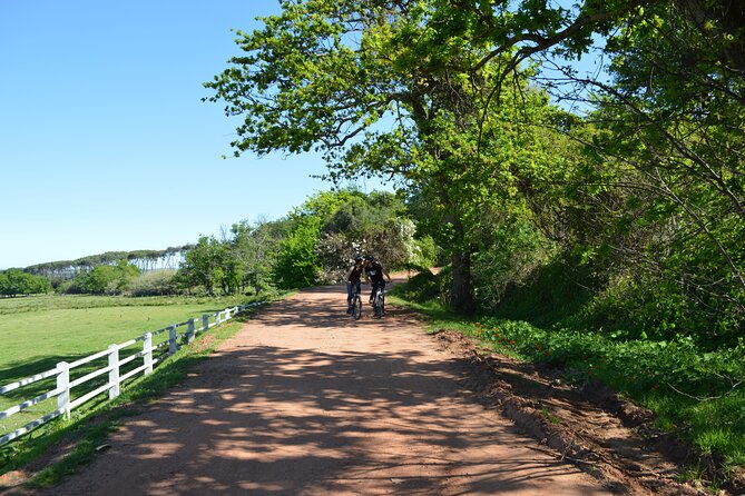 Franschhoek Winelands Meander © - The cultural stop at the Huguenot monument (why it belongs in a wine day)