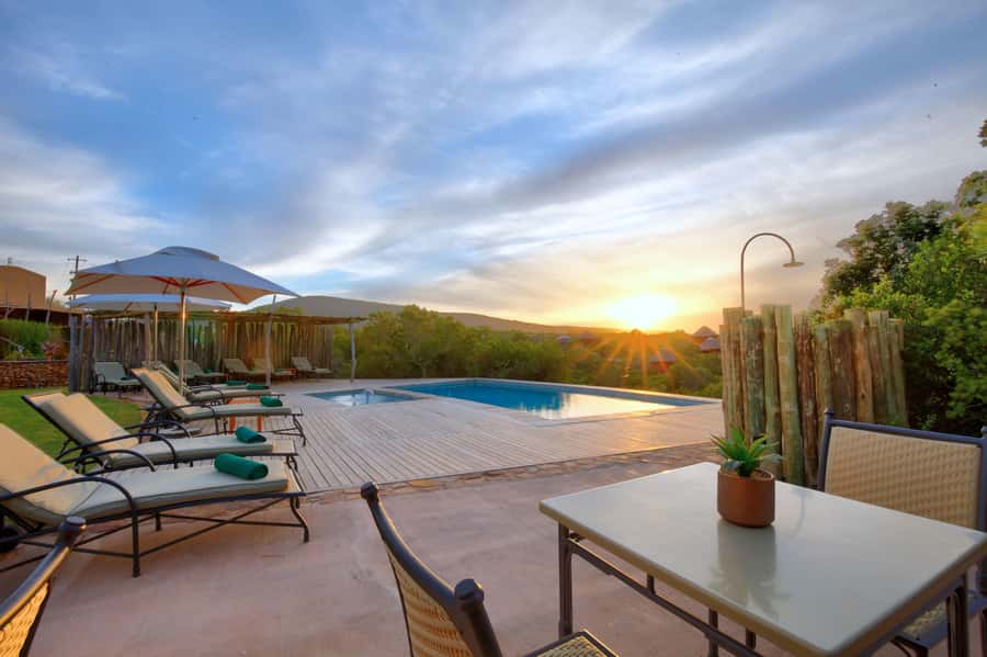 From Cape Town: 2-Day Safari at Garden Route Game Lodge - Price and value: what $533 per person is actually buying