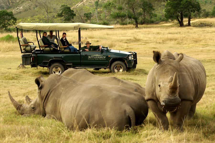 From Cape Town: 3-Day Garden Route Highlights and 4x4 Safari - Key things that make this tour worth your time
