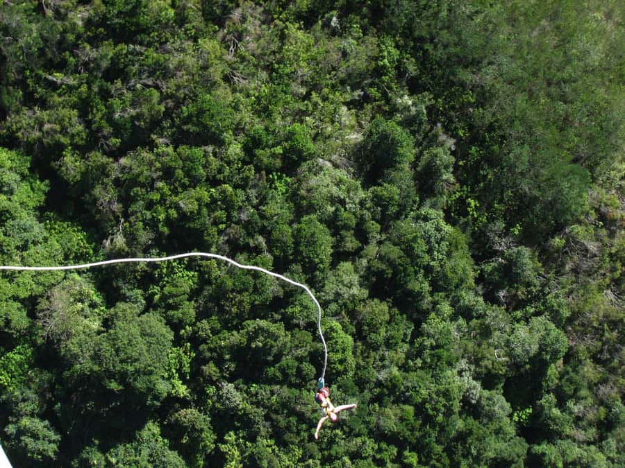 From Cape Town: 3-Day Garden Route Highlights and 4x4 Safari - Day 3 Botlierskop Big5 Safari: What You’ll Actually Do in the Open 4x4