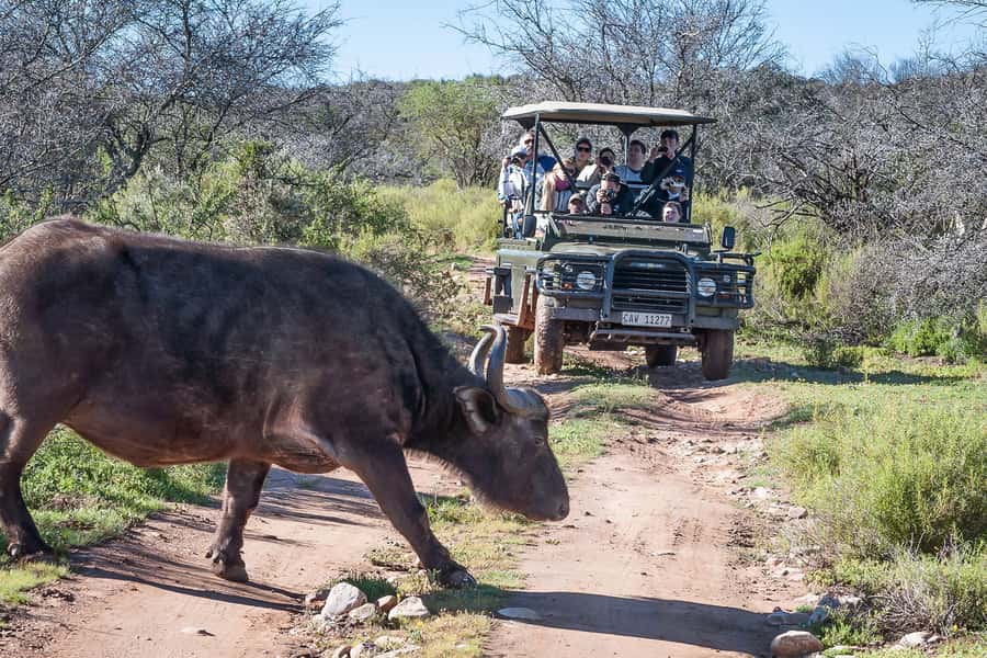 From Cape Town: 3-Day Garden Route Highlights and 4x4 Safari - Guide Quality Can Make or Break It: The Staff Names I’d Watch For