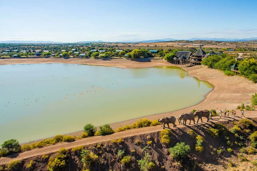 From Cape Town: 3-Day Garden Route Highlights and 4x4 Safari - Day 1 Oudtshoorn: Route 62 Road Trip, Ostrich Town Energy, and Cango Caves