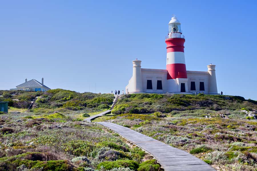 From Cape Town: 3-Day Garden Route Safari and Coastal Tour - The long drive to the Garden Route Game Lodge, and why the stay matters