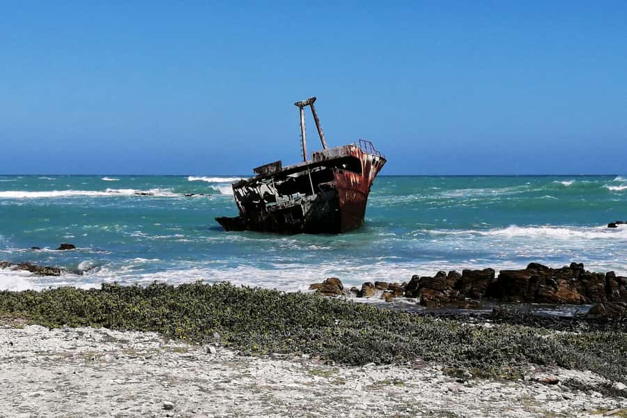 From Cape Town: 3-Day Garden Route Safari and Coastal Tour - Day 3 morning drive: your second chance when the animals are active