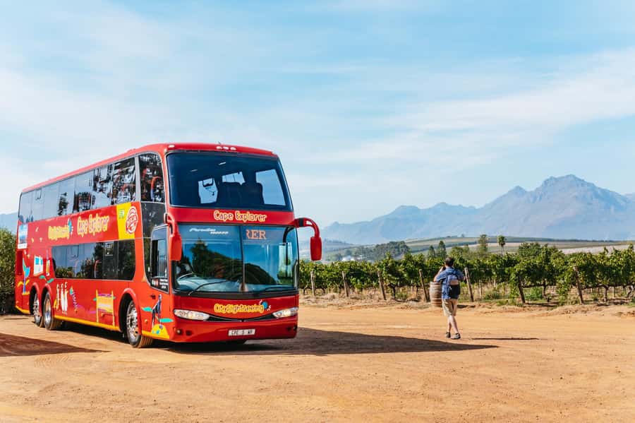 From Cape Town: 3 Regions Wine Tour with 3 Estates, 15 Wines - Why This Cape Winelands Route Is So Efficient
