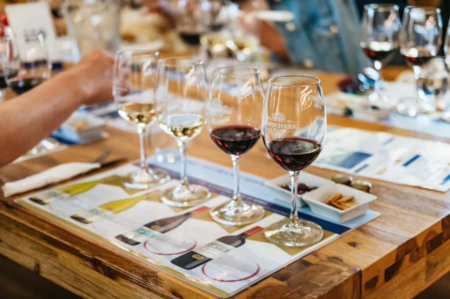 From Cape Town: 3 Regions Wine Tour with 3 Estates, 15 Wines - Getting on the Coach: Cape Town Pickup and the Xplorer Bus