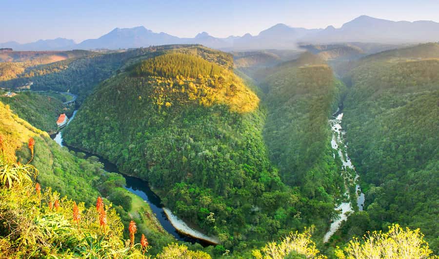 From Cape Town: 5-Day Best of Garden Route and Addo Safari - Where you sleep: backpackers, comfort, and luxury packages
