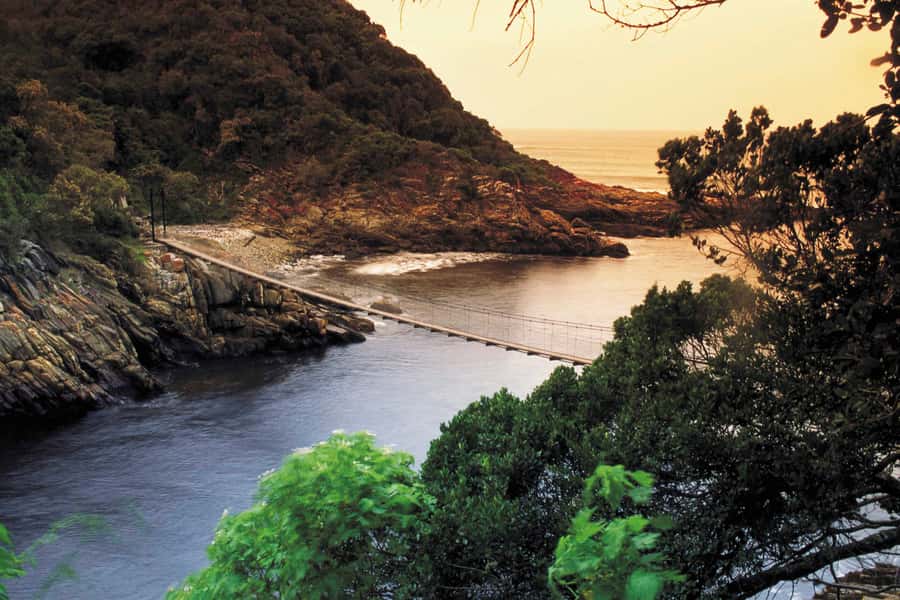 From Cape Town: 5-Day Best of Garden Route and Addo Safari - Price and logistics: what $675 covers and what to watch