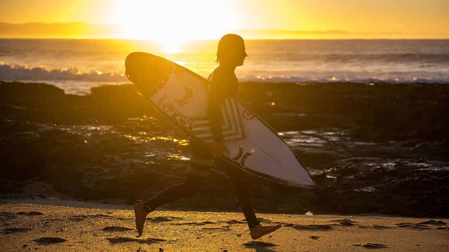 From Cape Town: 5-Day Best of Garden Route and Addo Safari - Day 4: Tsitsikamma National Park, bungy and zipline options, plus Knysna lagoon photos