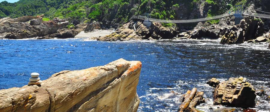 From Cape Town: 5-Day Best of Garden Route and Addo Safari - What about leopards and other hard-to-see animals