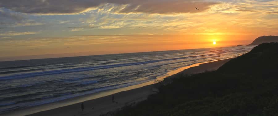 From Cape Town: 7-Day Garden Route, Addo and Winelands Combo - Wine Tram Days, Cape Point Views, and Penguin Stops