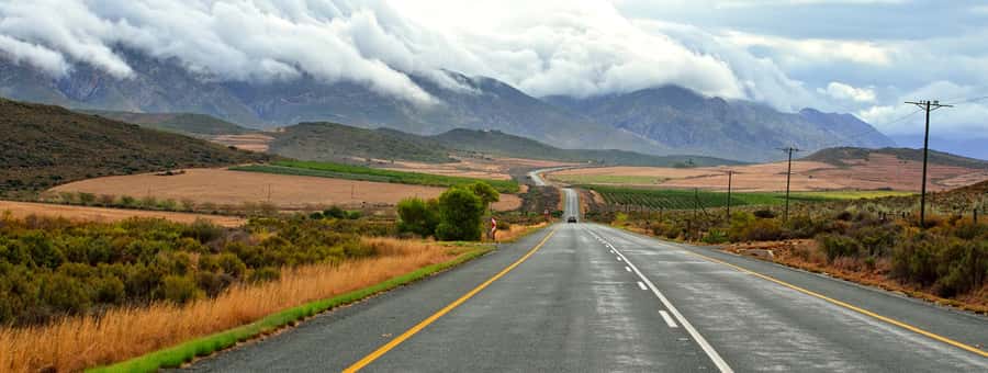 From Cape Town: 7-Day Garden Route, Addo and Winelands Combo - Addo Elephant National Park Safari Day That Actually Focuses on Wildlife